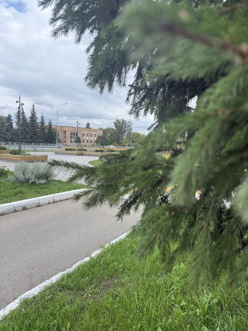 26 августа в Менделеевске будет солнечно