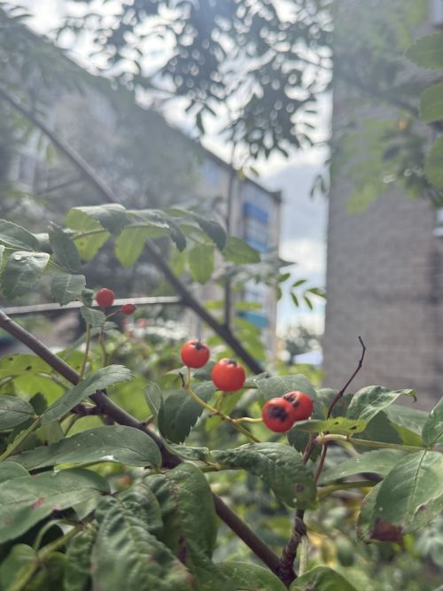 28 августа – Успение Пресвятой Богородицы: праздник земли, урожая и народных традиций