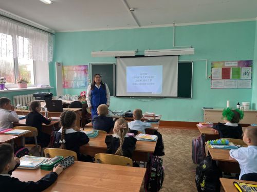 В Менделеевске проходят тематические занятия по дорожной грамотности для юных пешеходов