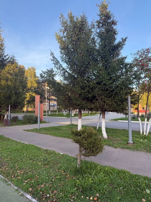 11 сентября в Менделеевске ожидается небольшой дождь