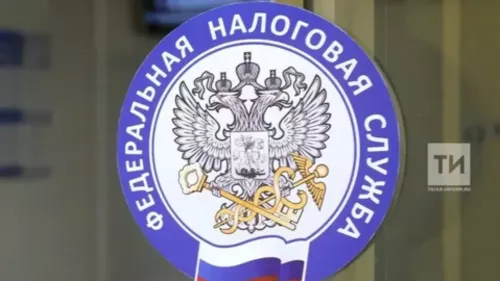 Налоговые обязательства для ИП: когда платить страховые взносы в 2025 году в Республике Татарстан