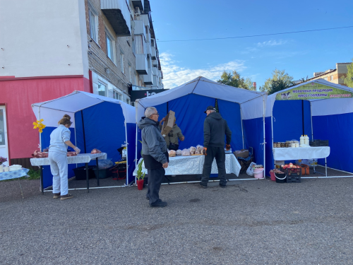 В Менделеевске в рамках Единого дня голосования проходит сельхозярмарка