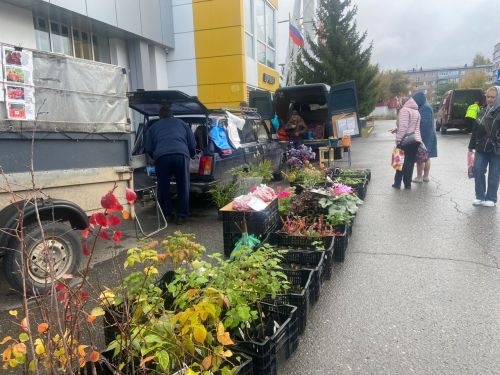 В Менделеевске каждую субботу проходят сельхозярмарки