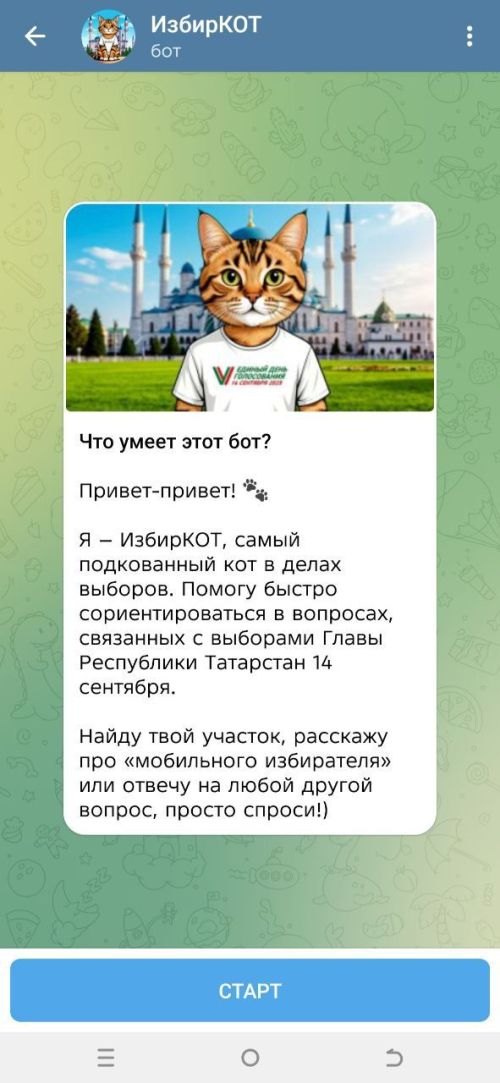 В Татарстане запущен цифровой помощник избирателей «ИзбирКОТ» в Telegram