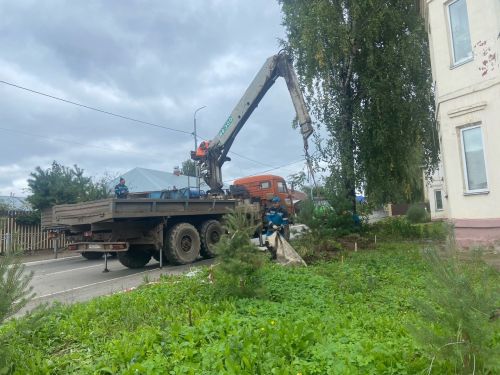 В Менделеевске идёт посадка деревьев