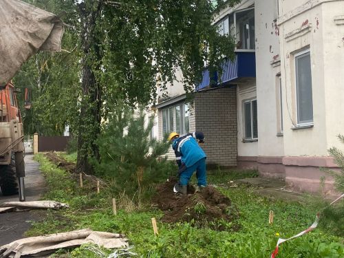 В Менделеевске идёт посадка деревьев
