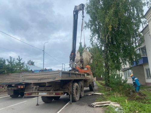 В Менделеевске идёт посадка деревьев