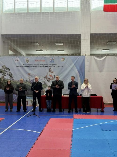 Юные спортсмены встретились в Менделеевске на чемпионате Татарстана по тхэквондо