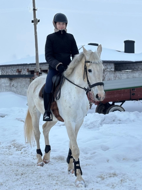 Год Лошади: начните в седле
