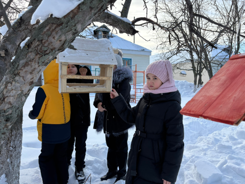 Активисты Сетяковского клуба и Бизякинская школа поддержали акцию «Покормите птиц зимой»