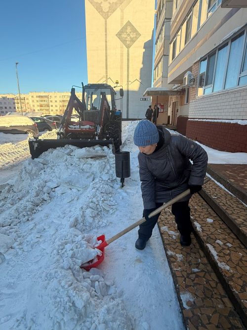 Герои чистых дворов Менделеевска: как Любовь Азина десять лет побеждает снежную стихию