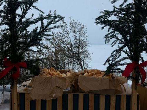Крещение Господне в Менделеевске: верующие прошли крестным ходом и окунулись в освящённую иордань