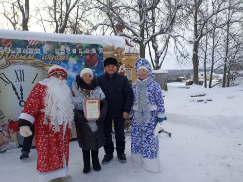 В селе Новый Кокшан зажглись ледяные фонари и ёлка