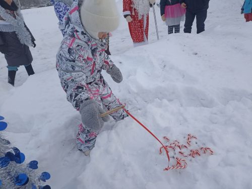 В селе Новый Кокшан зажглись ледяные фонари и ёлка