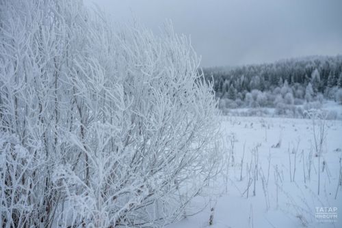 22 января — Филиппов день: народные традиции, запреты и приметы о погоде