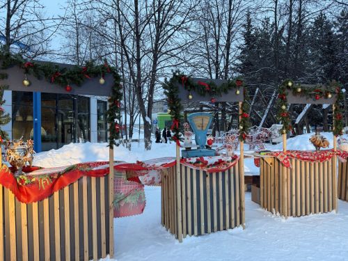 Морозная и ясная погода ждет менделеевцев в Татьянин день