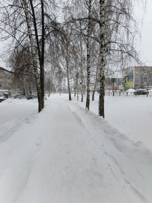 Метель и гололедица ожидаются в Менделеевске 31 января