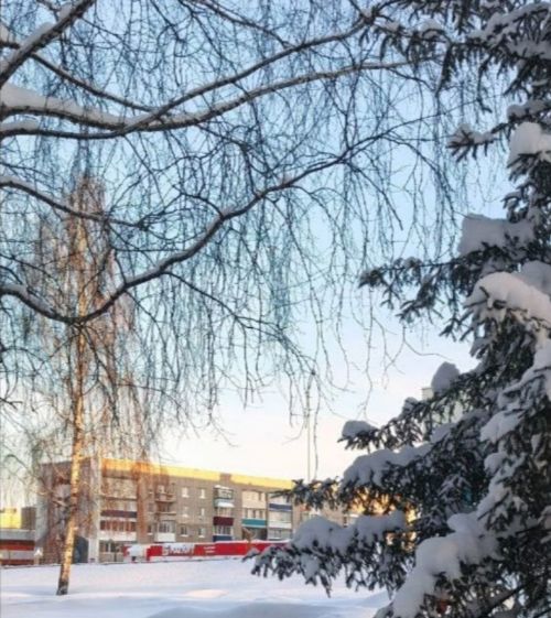 Прогноз погоды на 10 февраля: Менделеевск ждёт морозный день