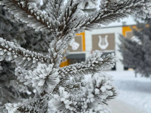 До –19°C: в Татарстан возвращаются крепкие морозы