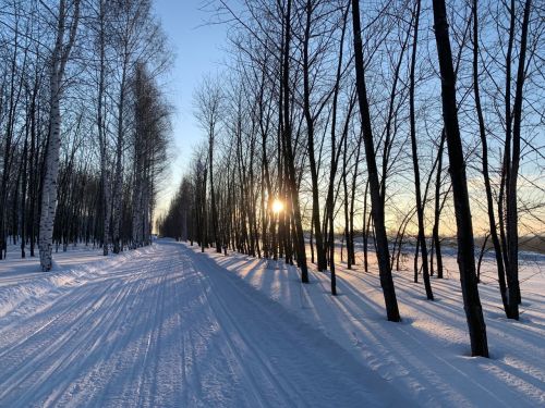 В Менделеевске 27 февраля ожидаются туман и гололедица