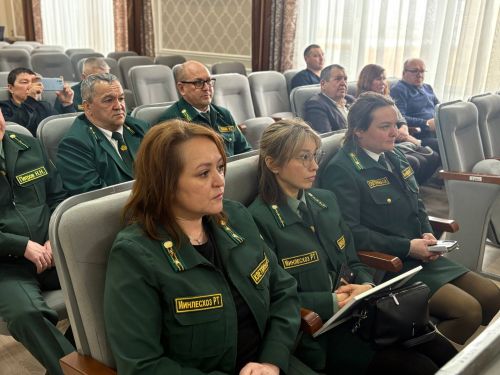 Рекордный результат: в Менделеевском лесничестве за 2025 год не допущено ни одного пожара