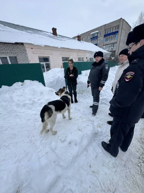 В Менделеевске прошел рейд по безнадзорным животным: хозяевам напомнили о крупных штрафах