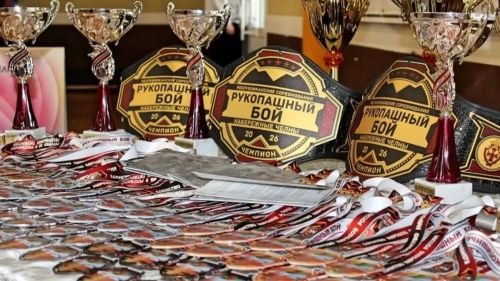 Юные бойцы «Сатори» вернулись с республиканских соревнований с 11 медалями