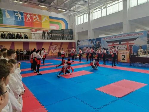 Менделеевские кобудоисты завоевали 39 медалей на чемпионате Татарстана
