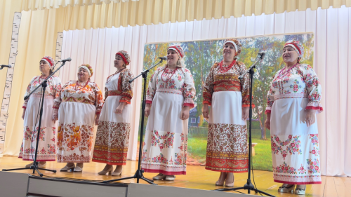 В Татарско-Челнинском сельском доме культуры встретились любители народного творчеств