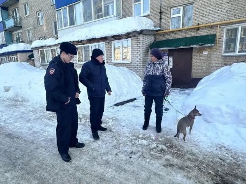 В Менделеевске проведён рейд по контролю за безнадзорными животными и за соблюдением правил содержания домашних животных