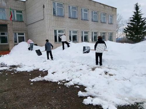 «Эковесна» объединила Менделеевский район: школы и детские сады вышли на субботники