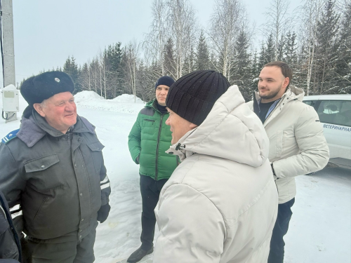 В Менделеевске проведён рейд по безнадзорным животным