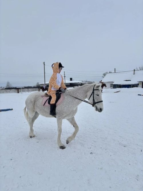 В конноспортивной школе «Фаворит» Менделеевска проведены костюмированные соревнования по кавалетти