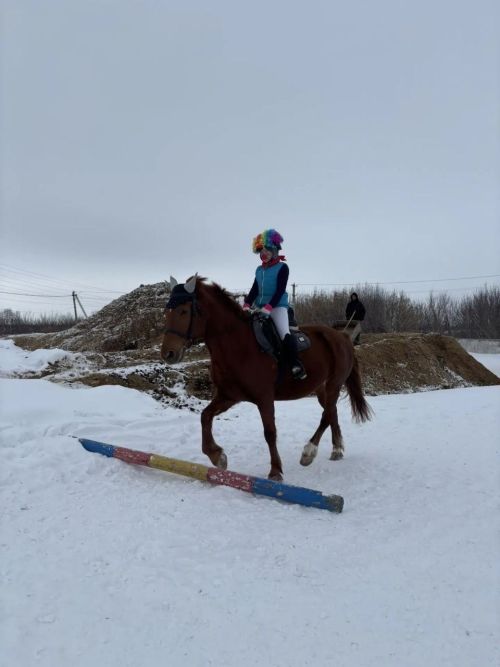 В конноспортивной школе «Фаворит» Менделеевска проведены костюмированные соревнования по кавалетти