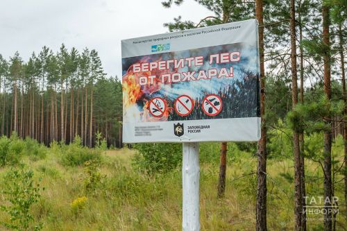 В лесах Татарстана пожароопасный сезон начнётся 15 апреля