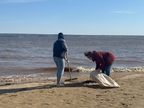Активисты Менделеевска очистили берега рек в рамках акции «Вода России»