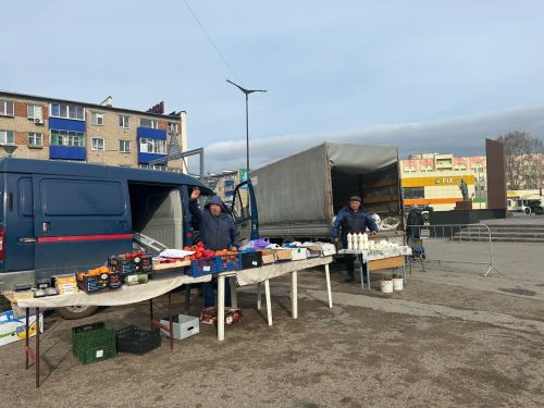 Мееделеевскида авыл хуҗалыгы ярминкәләре төгәлләнә