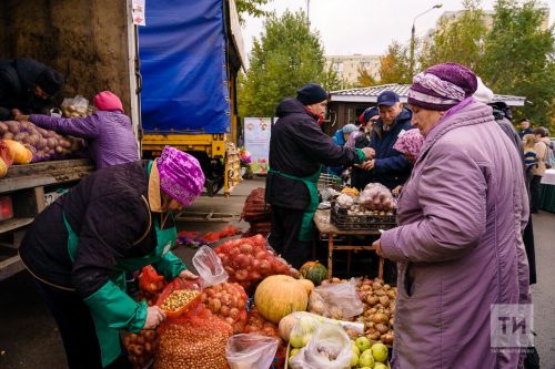Фермеры Татарстана на сельхозярмарках заработали 552 млн за 6 дней