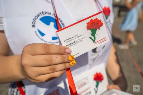 В Татарстане стартовала акция «Красная гвоздика»