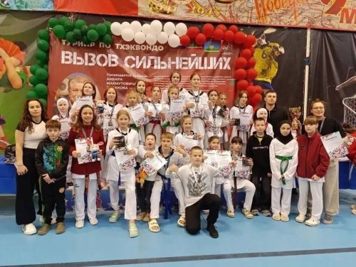Спортсмены из Менделеевского района завоевали награды на турнире по тхэквондо в Высокогорском районе