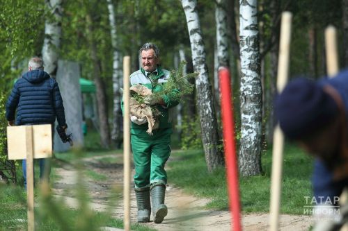 В Татарстане высадят более 1 млн деревьев в рамках акции «Сад памяти»