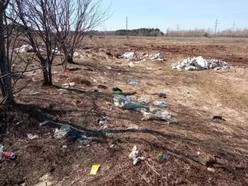 В Менделеевском районе в ходе проверки придорожных территорий выявили свалки мусора