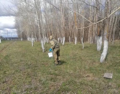 В Менделеевском районе провели обработку парков и скверов от клещей и комаров