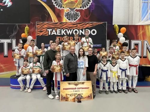 Тхэквондисты из Менделеевска завоевали 3 общекомандное место на «Tiger Cup» в Ульяновске