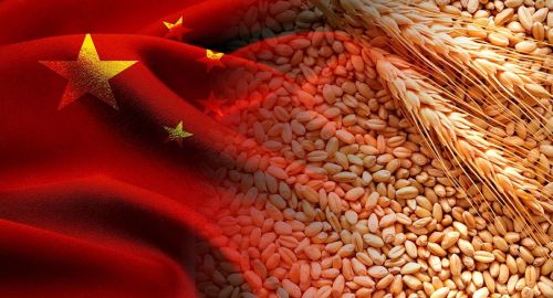 Зерно, мясо, гречка: какие продукты из России пользуются спросом в Китае