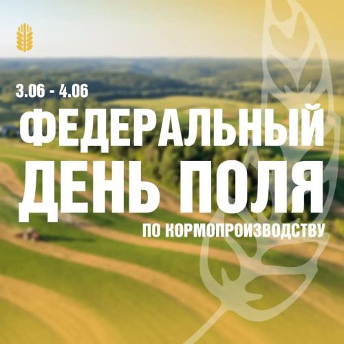 В Мензелинском районе пройдет Федеральный День поля по кормопроизводству