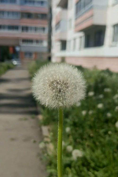30 мая в Менделеевске прогреется до +21°, осадков не ожидается