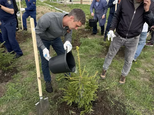 В Менделеевске высадили 81 ель в рамках акции «Сад памяти»