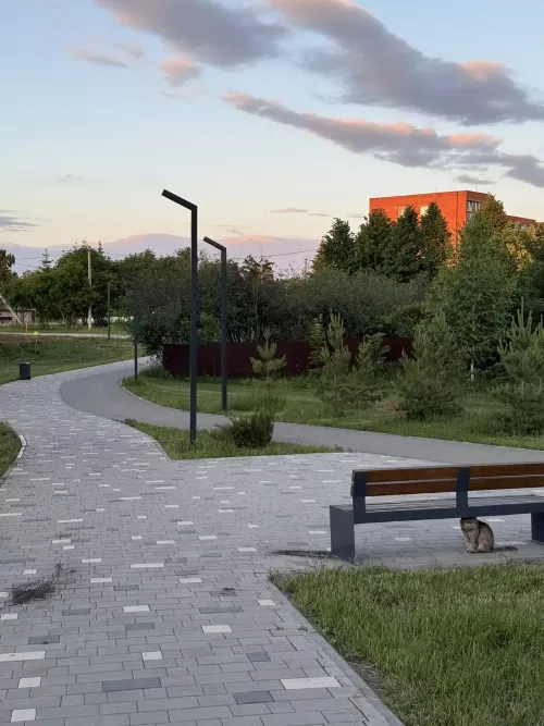 В Менделеевске высадят более 50 саженцев можжевельника, сосны, сирени и рябины