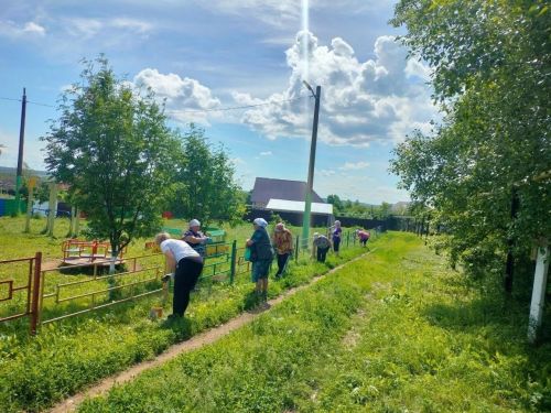 В селе Татарские Челны сотрудники бюджетных организаций покрасили парк в ходе средника